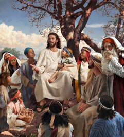 open bible warm light scripture study